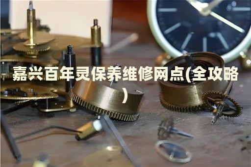 嘉興百年靈保養(yǎng)維修網(wǎng)點(全攻略)