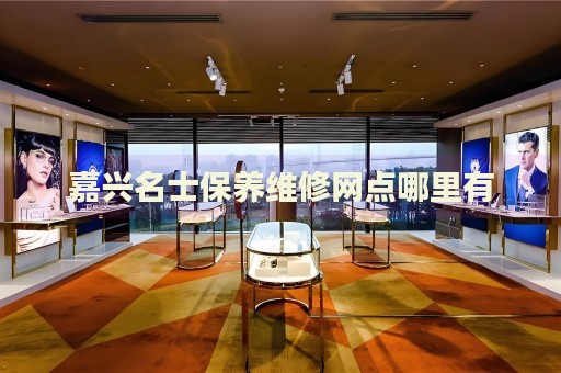 嘉興名士保養(yǎng)維修網(wǎng)點(diǎn)哪里有
