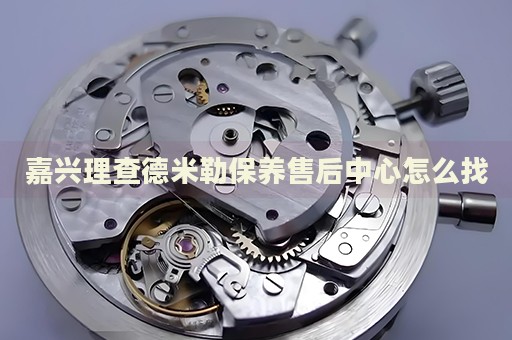 嘉興理查德米勒保養(yǎng)售后中心怎么找