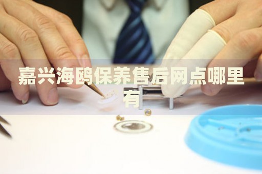嘉興海鷗保養(yǎng)售后網(wǎng)點(diǎn)哪里有