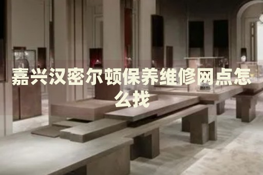 嘉興漢密爾頓保養(yǎng)維修網(wǎng)點(diǎn)怎么找