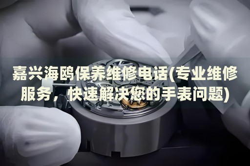 嘉興海鷗保養(yǎng)維修電話(專業(yè)維修服務(wù)，快速解決您的手表問題)