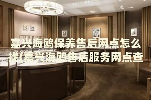嘉興海鷗保養(yǎng)售后網(wǎng)點(diǎn)怎么找(嘉興海鷗售后服務(wù)網(wǎng)點(diǎn)查詢攻略)