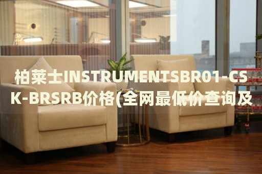 柏萊士INSTRUMENTSBR01-CSK-BRSRB價(jià)格(全網(wǎng)最低價(jià)查詢及購(gòu)買(mǎi)攻略)