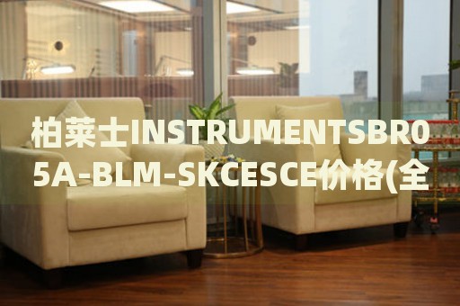 柏萊士INSTRUMENTSBR05A-BLM-SKCESCE價格(全面解析柏萊士BR05A-BLM-SKCESCE儀器的市場價格)