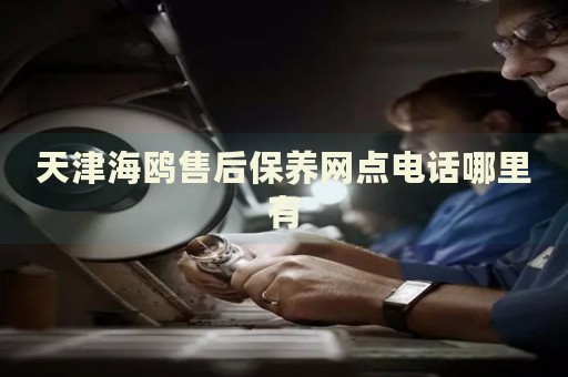 天津海鷗售后保養(yǎng)網(wǎng)點(diǎn)電話哪里有