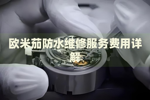 歐米茄防水維修服務(wù)費(fèi)用詳解