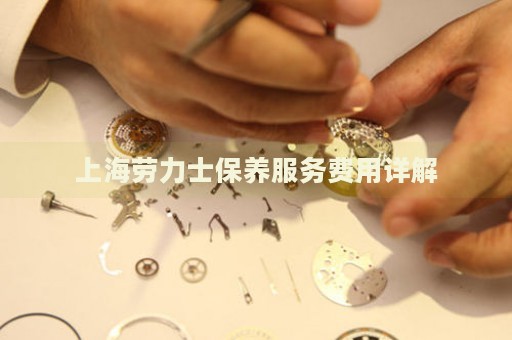 上海勞力士保養(yǎng)服務(wù)費用詳解