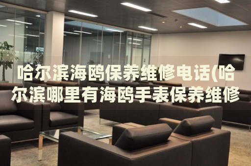 哈爾濱海鷗保養(yǎng)維修電話(哈爾濱哪里有海鷗手表保養(yǎng)維修服務(wù))