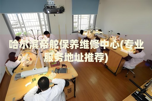 哈爾濱帝舵保養(yǎng)維修中心(專業(yè)服務(wù)地址推薦)