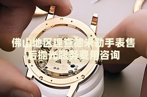 佛山地區(qū)理查德米勒手表售后拋光服務(wù)費(fèi)用咨詢