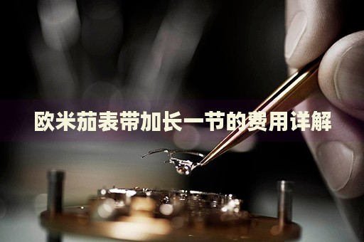 歐米茄表帶加長一節(jié)的費(fèi)用詳解