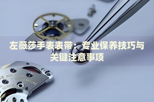 左薇莎手表表帶：專業(yè)保養(yǎng)技巧與關(guān)鍵注意事項(xiàng)