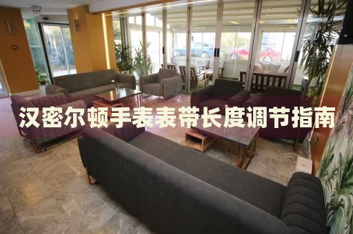 漢密爾頓手表表帶長(zhǎng)度調(diào)節(jié)指南