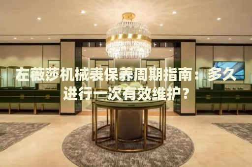 左薇莎機(jī)械表保養(yǎng)周期指南：多久進(jìn)行一次有效維護(hù)？