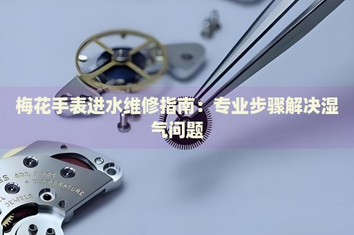 梅花手表進(jìn)水維修指南：專業(yè)步驟解決濕氣問題