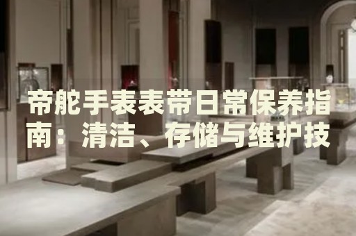 帝舵手表表帶日常保養(yǎng)指南：清潔、存儲(chǔ)與維護(hù)技巧