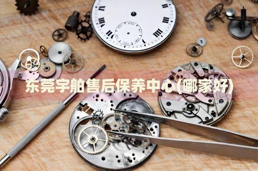 東莞宇舶售后保養(yǎng)中心(哪家好)