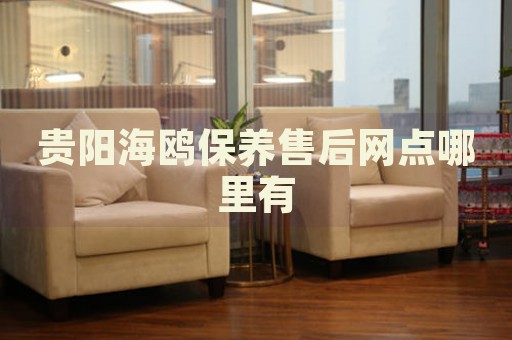 貴陽海鷗保養(yǎng)售后網點哪里有