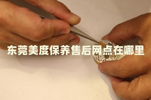 東莞美度保養(yǎng)售后網(wǎng)點(diǎn)在哪里