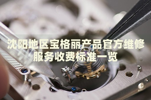 沈陽地區(qū)寶格麗產(chǎn)品官方維修服務(wù)收費(fèi)標(biāo)準(zhǔn)一覽