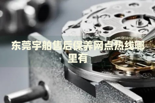 東莞宇舶售后保養(yǎng)網(wǎng)點(diǎn)熱線哪里有