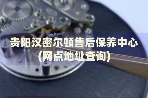 貴陽漢密爾頓售后保養(yǎng)中心(網(wǎng)點(diǎn)地址查詢)