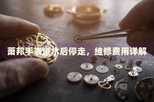 蕭邦手表進水后停走，維修費用詳解