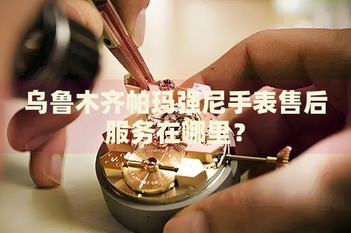 烏魯木齊帕瑪強(qiáng)尼手表售后服務(wù)在哪里？