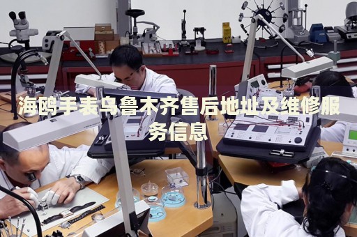海鷗手表烏魯木齊售后地址及維修服務(wù)信息