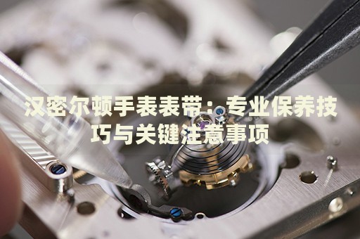 漢密爾頓手表表帶：專業(yè)保養(yǎng)技巧與關(guān)鍵注意事項