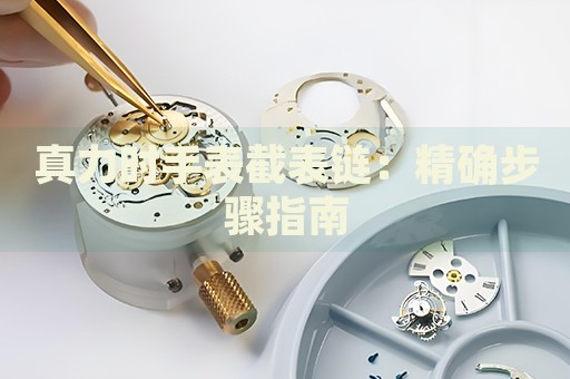 真力時(shí)手表截表鏈：精確步驟指南