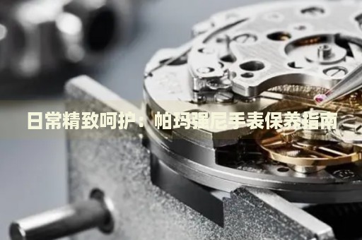 日常精致呵護(hù)：帕瑪強(qiáng)尼手表保養(yǎng)指南