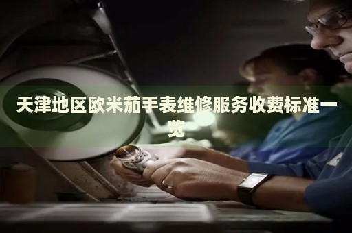 天津地區(qū)歐米茄手表維修服務(wù)收費(fèi)標(biāo)準(zhǔn)一覽