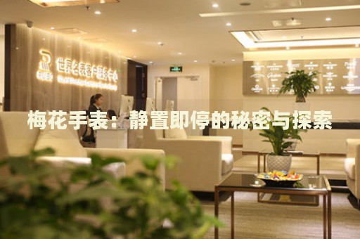 梅花手表：靜置即停的秘密與探索