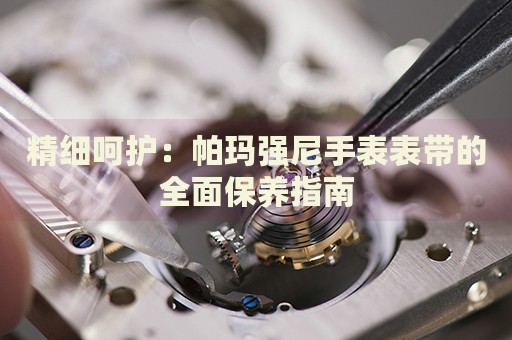 精細呵護：帕瑪強尼手表表帶的全面保養(yǎng)指南