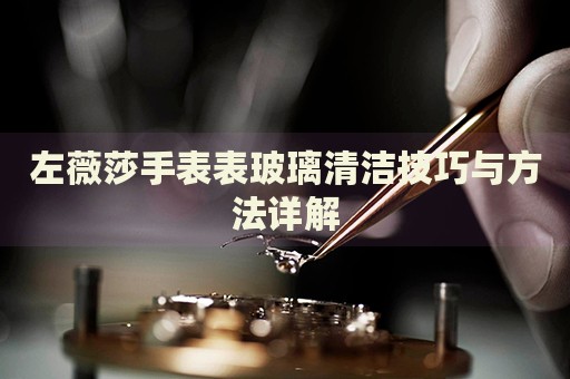 左薇莎手表表玻璃清潔技巧與方法詳解
