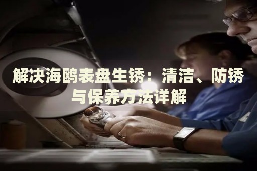 解決海鷗表盤(pán)生銹：清潔、防銹與保養(yǎng)方法詳解