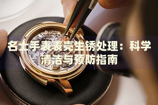 名士手表表殼生銹處理：科學清潔與預防指南