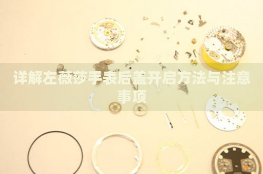 詳解左薇莎手表后蓋開啟方法與注意事項
