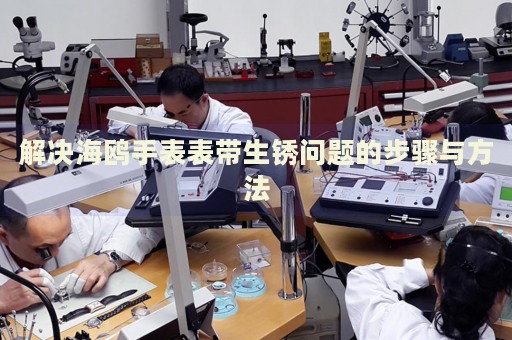 解決海鷗手表表帶生銹問題的步驟與方法