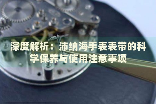 深度解析：沛納海手表表帶的科學(xué)保養(yǎng)與使用注意事項(xiàng)