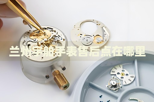 蘭州宇舶手表售后點(diǎn)在哪里