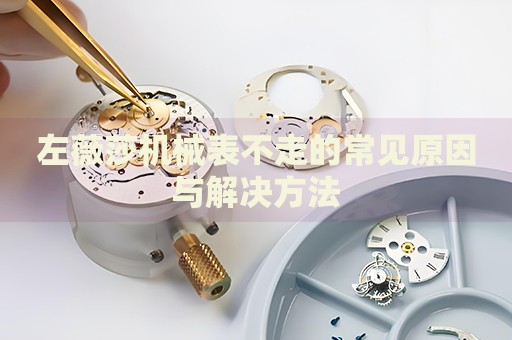 左薇莎機(jī)械表不走的常見原因與解決方法