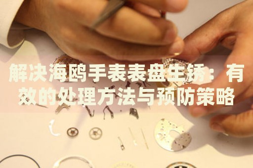 解決海鷗手表表盤生銹：有效的處理方法與預(yù)防策略