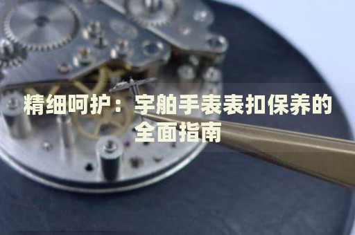 精細(xì)呵護(hù)：宇舶手表表扣保養(yǎng)的全面指南