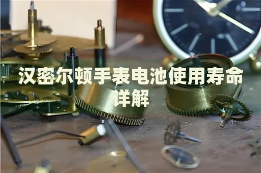 漢密爾頓手表電池使用壽命詳解