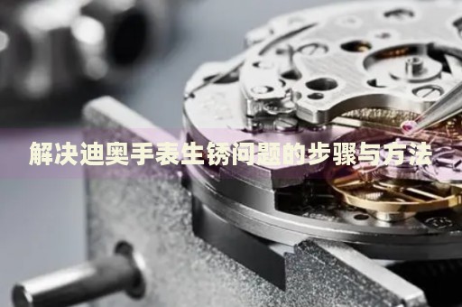解決迪奧手表生銹問題的步驟與方法