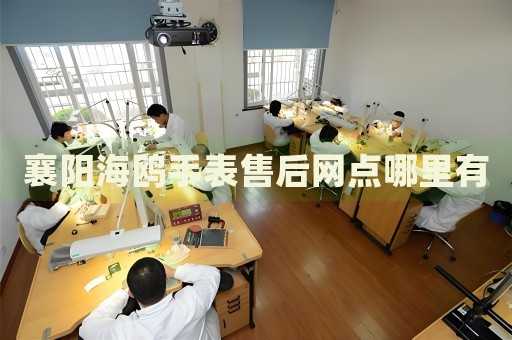 襄陽海鷗手表售后網(wǎng)點哪里有