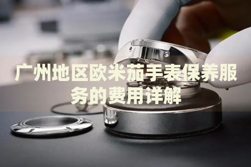 廣州地區(qū)歐米茄手表保養(yǎng)服務(wù)的費(fèi)用詳解